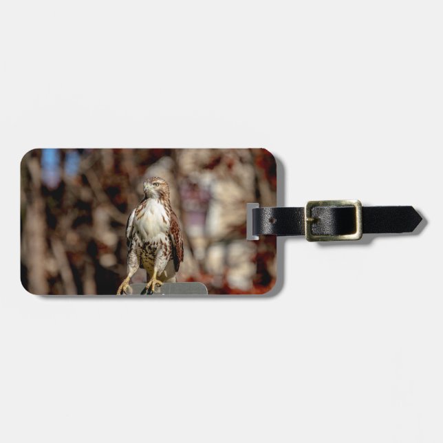 Omatur Red Tails Hawk Bagagebricka (Horisontell Framsida)