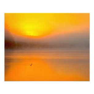 Ombre soluppgång som är glänsande på naturfoto fototryck