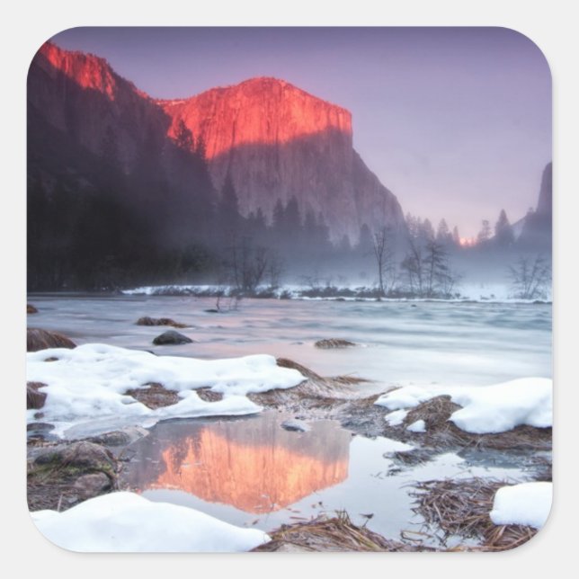 Omega Red Fyrkantigt Klistermärke (Framsida)