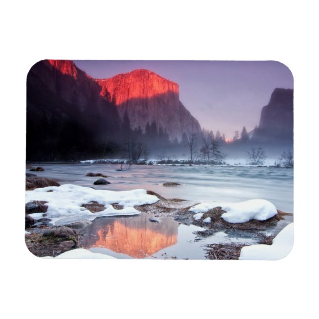 Omega Red Magnet (Horisontell)