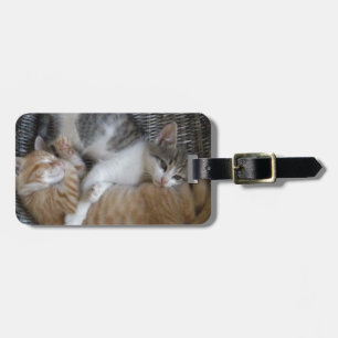 Omfamningkattungar Bagagebricka