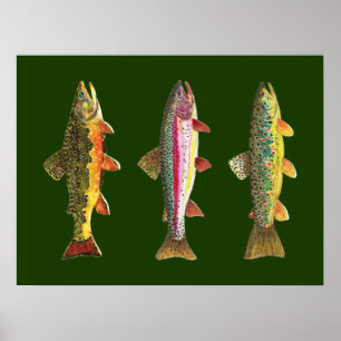 Ömfisket Poster