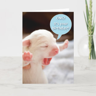 OMG Birthday! Kort