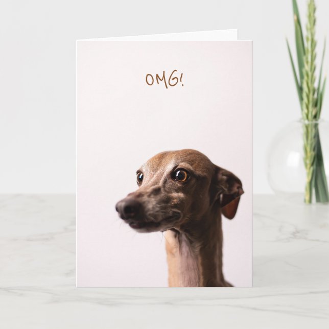 OMG-hund Kort (Framsida)
