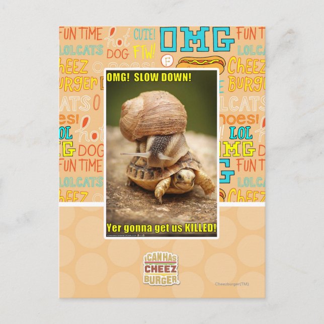 OMG! Långsamt besegra! Vykort (Framsida)