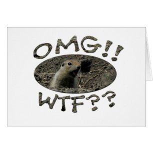 OMG WTF Gopher Hälsningskort