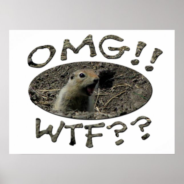 OMG WTF Gopher Poster (Framsidan)