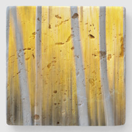 omgiven av Aspen träd Stenunderlägg