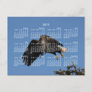 Omgiven av Vingar; 2013 års kalender Helg Vykort
