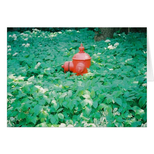 Omgivet Hälsningskort (Framsidan Horizontal)