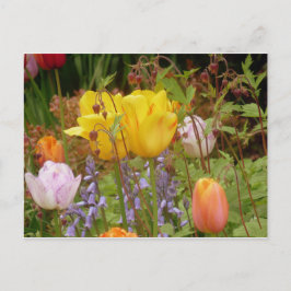 Ömhetens blommor vykort