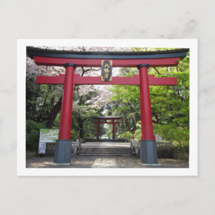 Omiya Hachimangu Shrine: Tokyo vykort