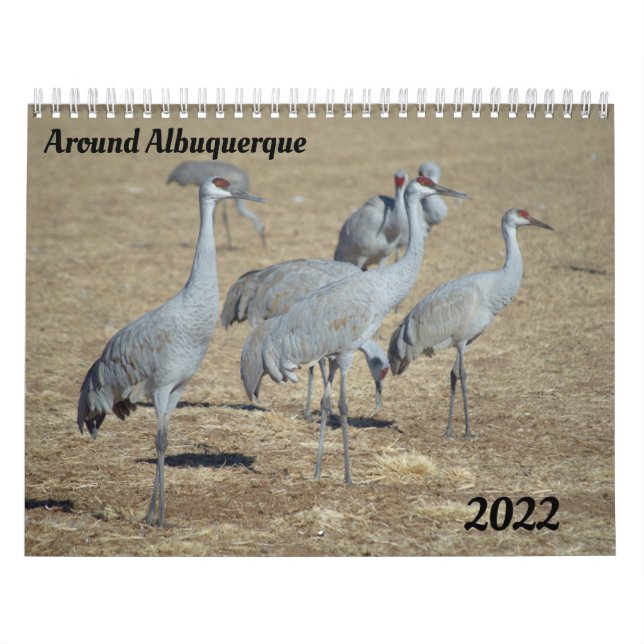 Omkring Albuquerque-kalender Kalender (Omslag)