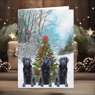 Omkring Träd - Black Labrador Helgkort