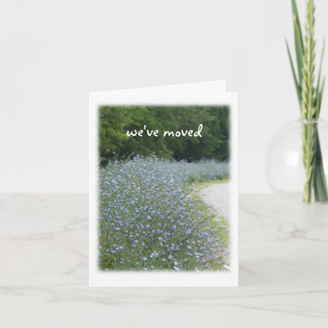 Omlokalisering av Cikoriablommor Meddelande (Framsida)