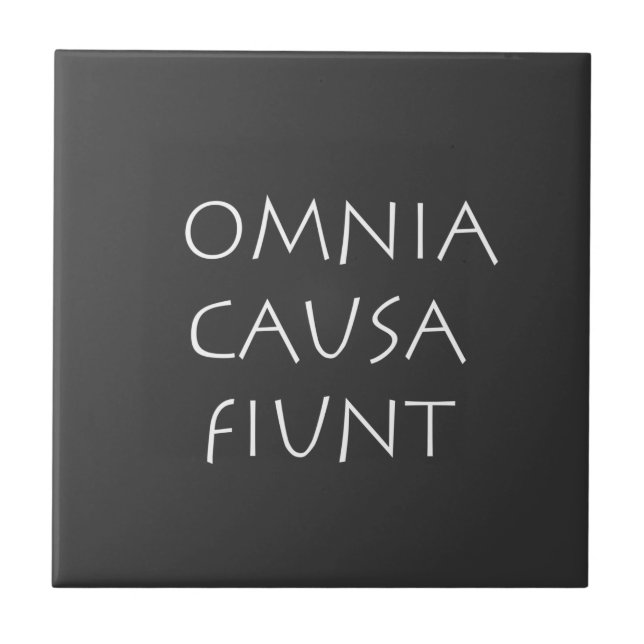 Omnia causa fiunt kakelplatta (Framsidan)