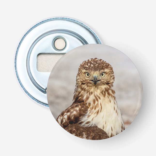 Omogen Red-Tails Hawk på marken Flasköppnare (Framsidan)