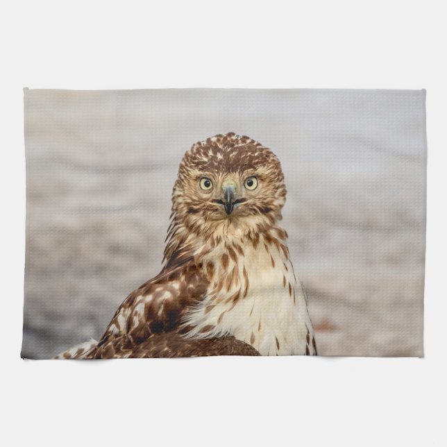 Omogen Red-Tails Hawk på marken Kökshandduk (Horisontell)