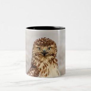 Omogen Red-Tails Hawk på marken Två-Tonad Mugg