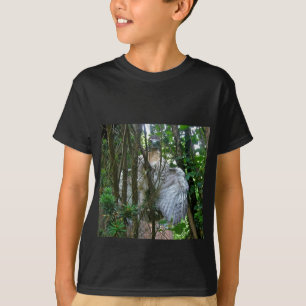 Omogen Rödstjärtad Vråk Koordinerande Artiklar Tee Shirt