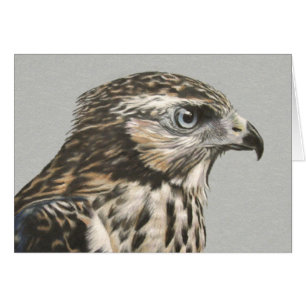 Omoget Goshawkkort Hälsningskort