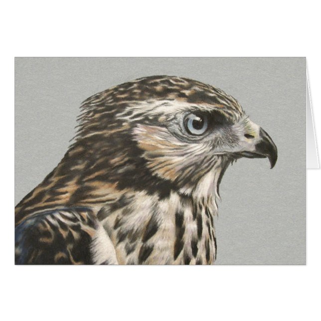 Omoget Goshawkkort Hälsningskort (Framsidan Horizontal)