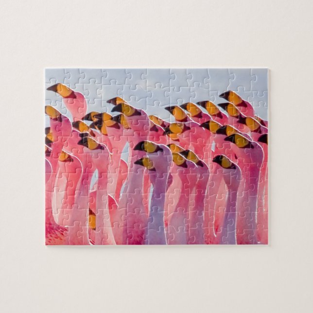 Omöjligt pussel - Flamingos (Horisontell)