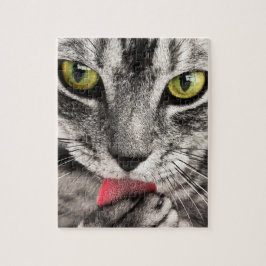 Omöjligt pussel - Grått stripe-katt