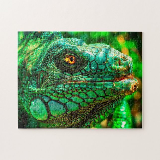 Omöjligt pussel - Iguane (Horisontell)