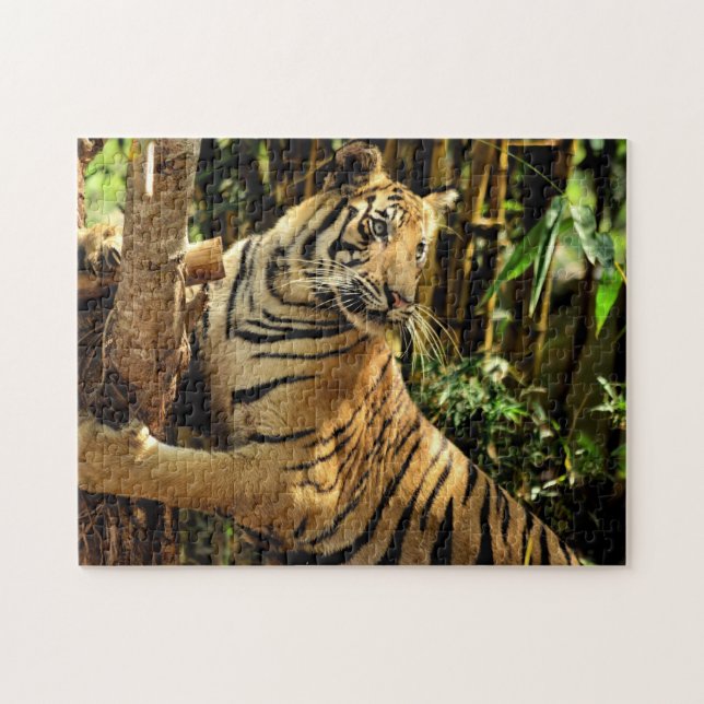 Omöjligt pussel - Jungle Tiger (Horisontell)