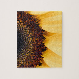 Omöjligt pussel - makrosolros