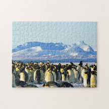 Omöjligt pussel - Penguins Colony
