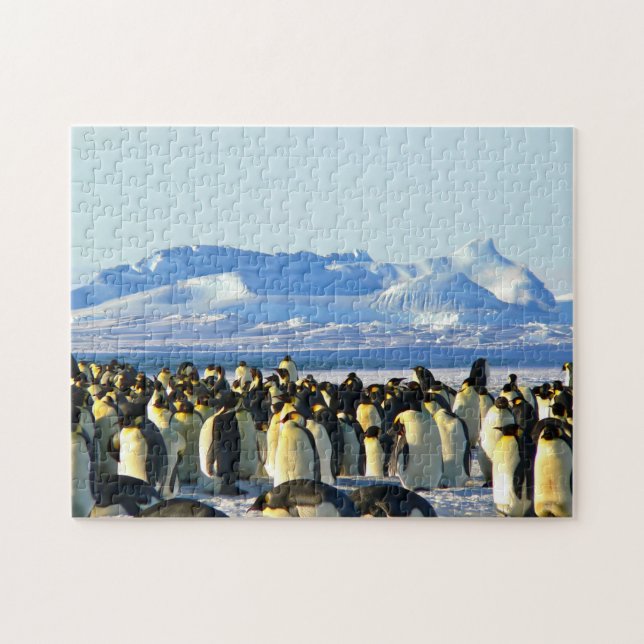 Omöjligt pussel - Penguins Colony (Horisontell)