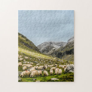 Omöjligt pussel - Sheeps Herd