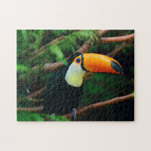 Omöjligt pussel - Toucan