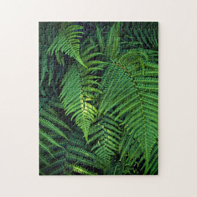 Omöjligt Puzzle - Jungle Ferns Pussel (Vertikal)
