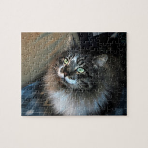 Omotståndskraftig katt Zorro Puzzel Pussel