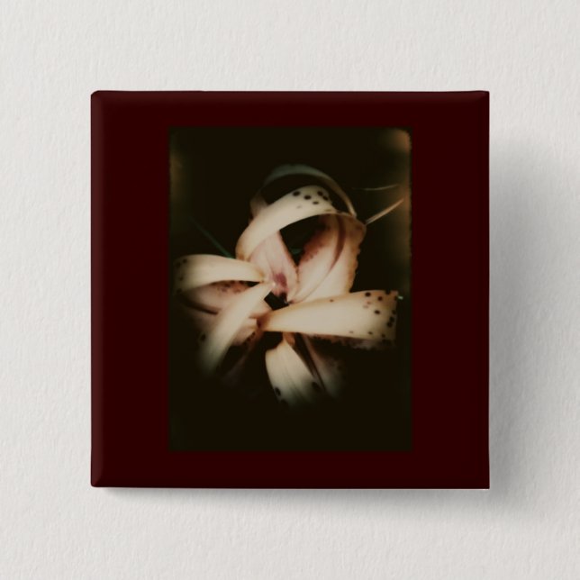 Ompröva 105 knäppas knapp (Framsida)