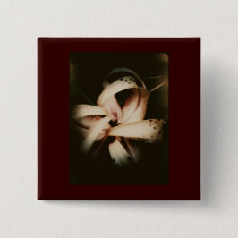 Ompröva 105 knäppas knapp