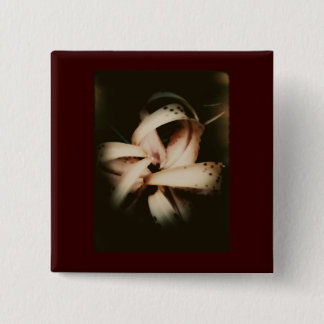 Ompröva 105 knäppas knapp