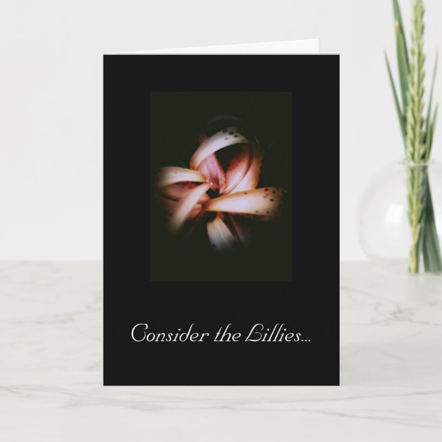 Ompröva det Lillies 100 kortet Kort (Framsida)