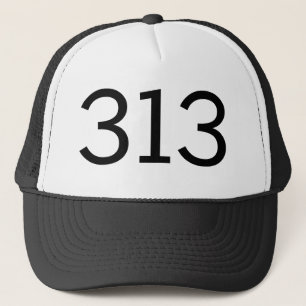 Områdeskod 313 (Detroit) Keps