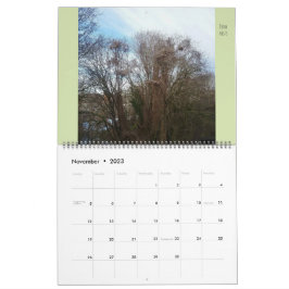 Området "Downyland" i stort Flora och fauna Kalender