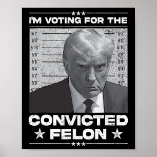 Omröstning dömd Felon 2024 - Trump 2024 dömd Poster