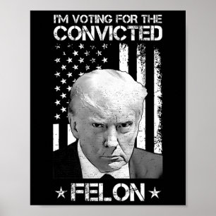 Omröstning dömd Felon 2024 - Trump 2024 dömd Poster