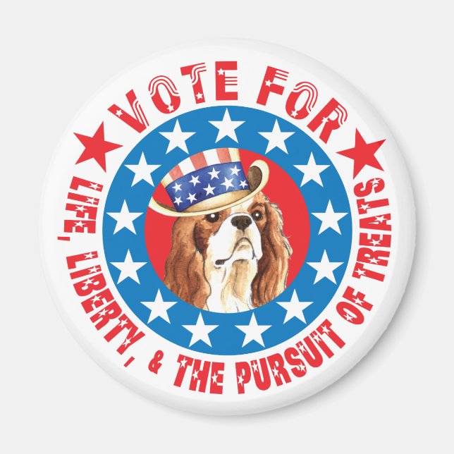 Omröstning om Cavalier Magnet (Framsidan)