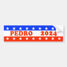 Omröstning om Pedro 2024