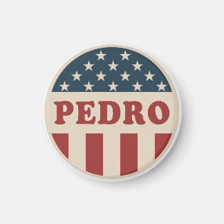 Omröstning om Pedro Classic Retro American Voter B Magnet