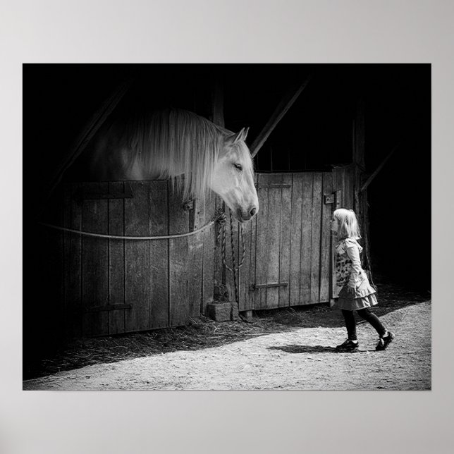 Ömsesidig kuriositet poster (Framsidan)