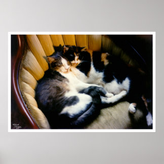 Ömsesidigt stöd poster